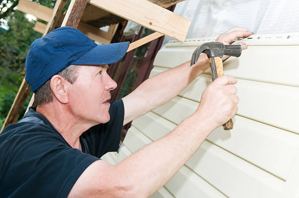 Best Brick Veneer Siding  in Elko New Market, MN